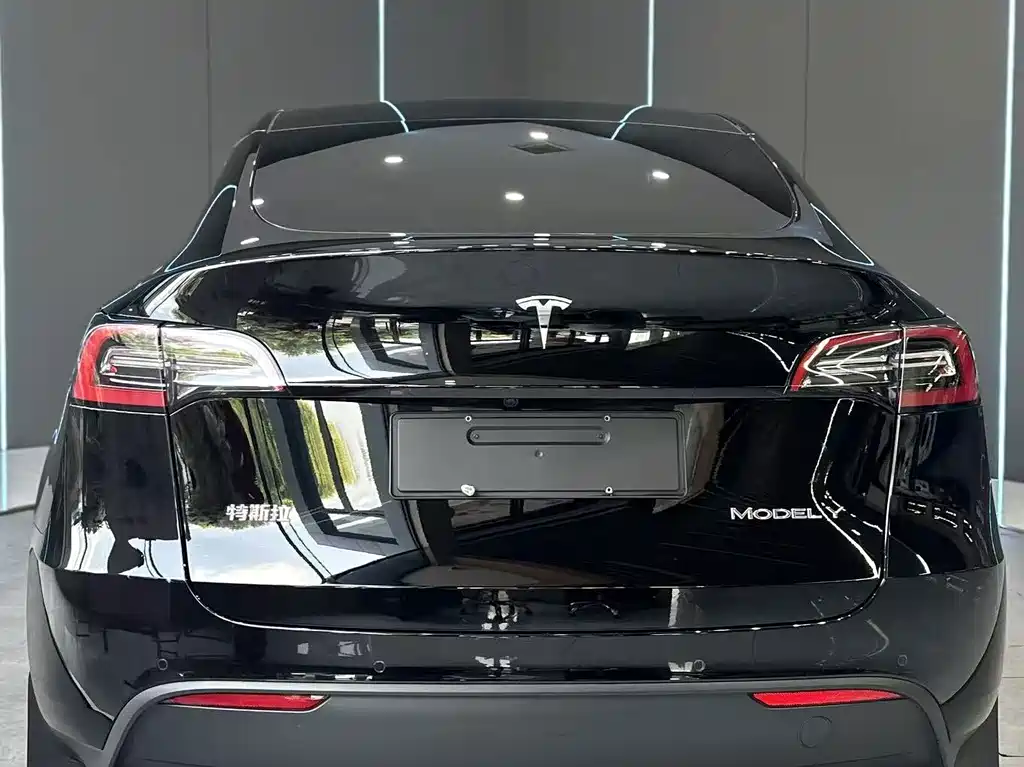 Tesla Model Y — миниатюра 7