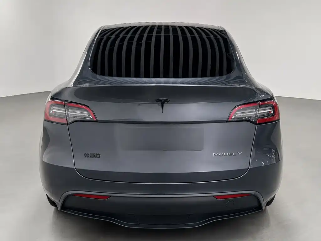 Tesla Model Y — миниатюра 8