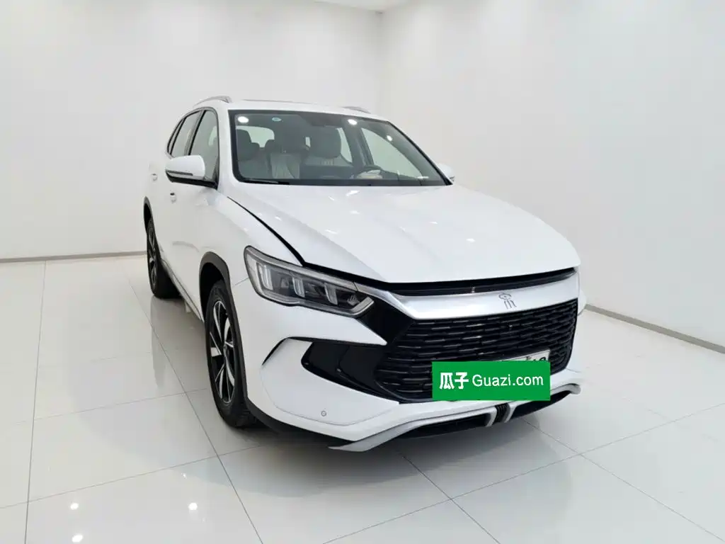 BYD Pro New Energy — миниатюра 3