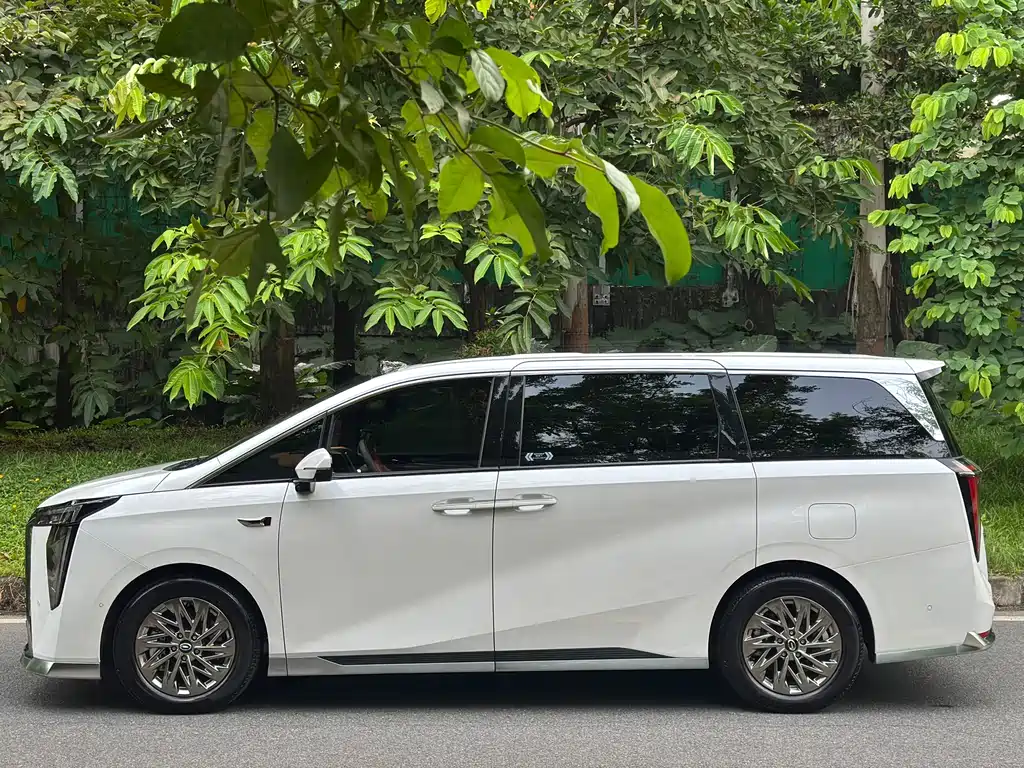 GAC Motor Trumpchi Xiangwang M8 — миниатюра 5