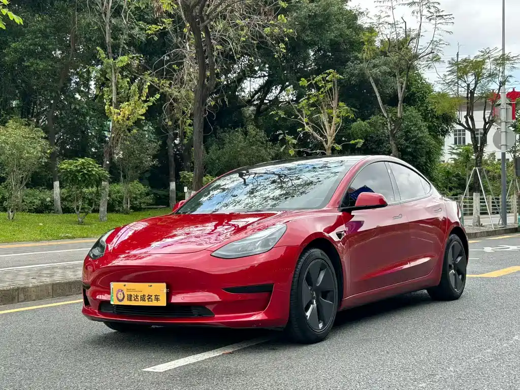Tesla Model 3 2021