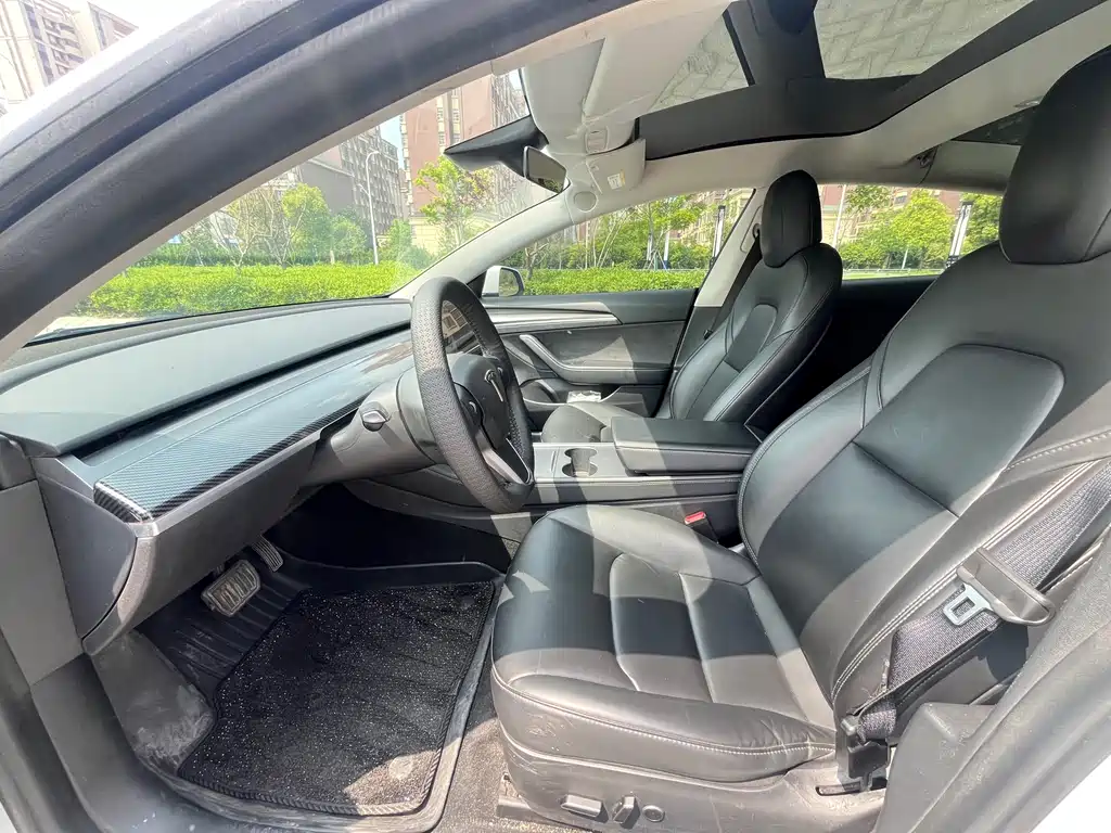 Tesla Model 3 2021 3D6