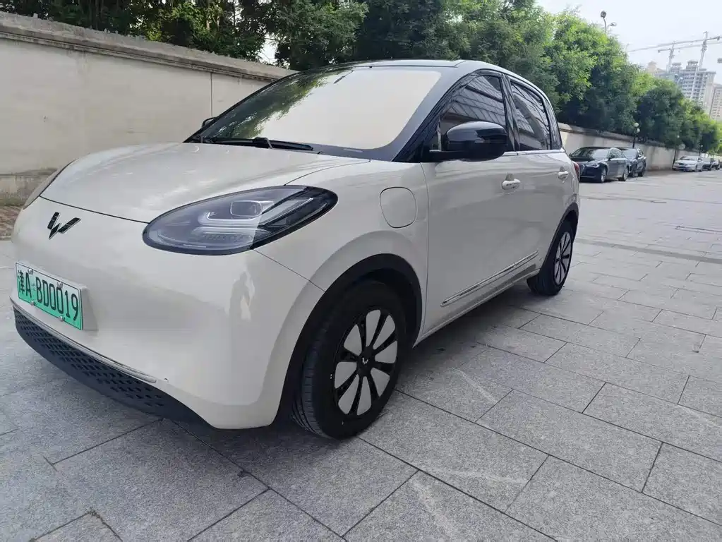 Wuling Bingo 2024