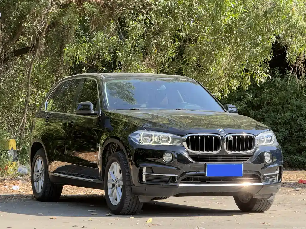 BMW X5 2017 xDrive35i Lead