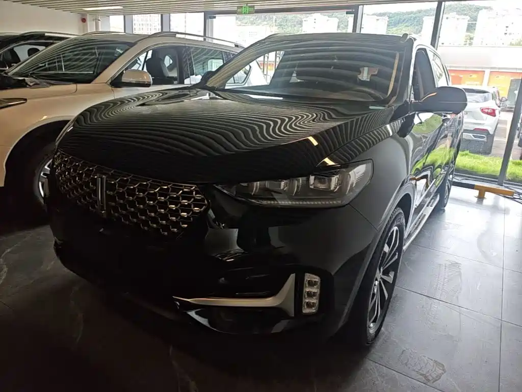 Wey Wey VV6