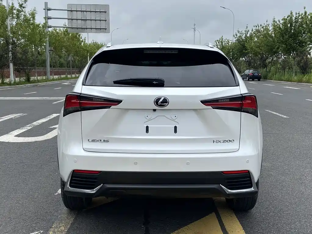 Lexus NX 200 FWD Edge Travel Edition China VI, фото 12