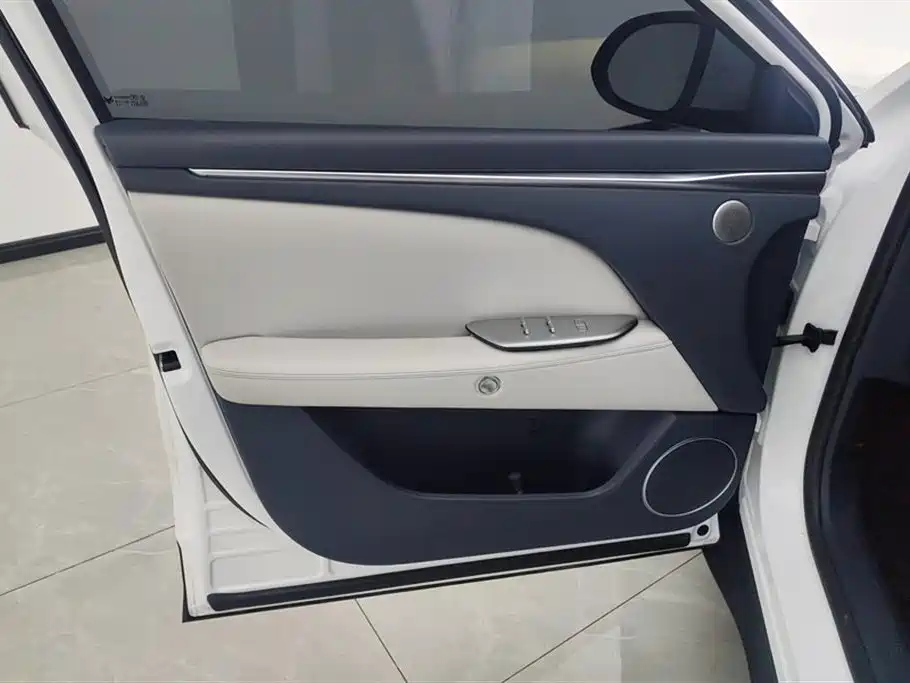 ARCFOX EXTREME FOX POLAR FOX ALPHA T5