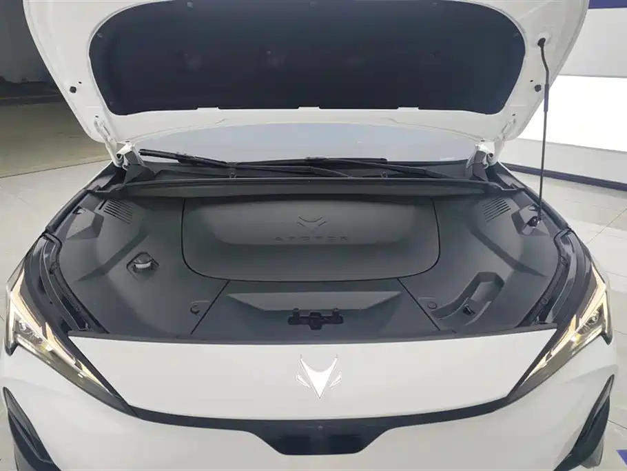 ARCFOX EXTREME FOX POLAR FOX ALPHA T5