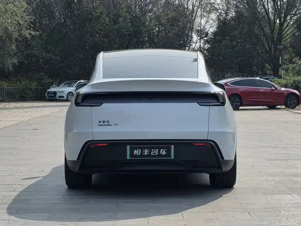 Tesla Model Y — миниатюра 4