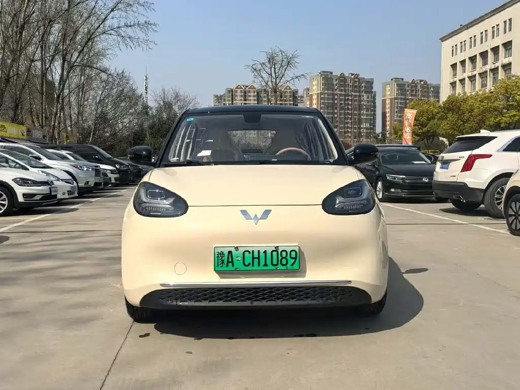 Wuling Binguo 2025 333km Enjoy