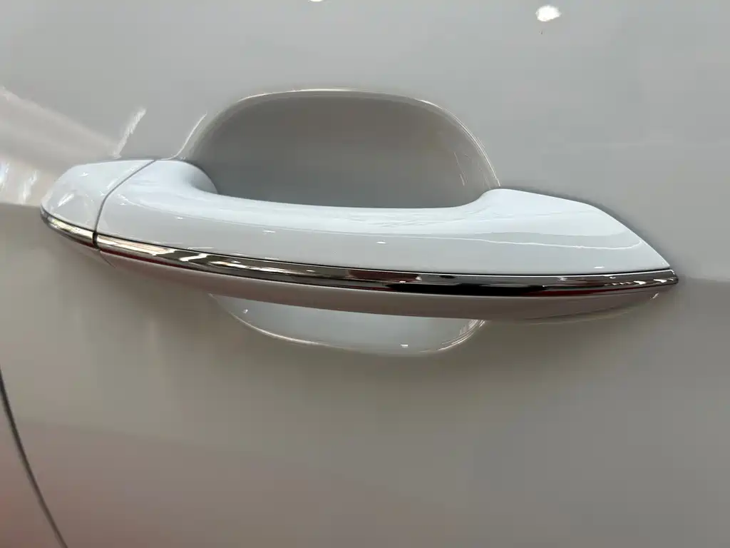 Volkswagen Viloran — миниатюра 41