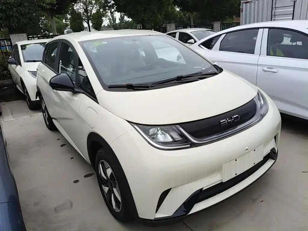 BYD Dolphin 2025 420km Freedom
