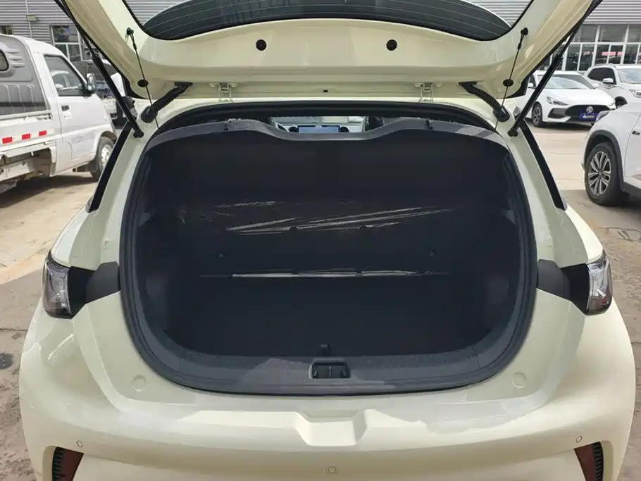 BYD Dolphin 2025 420km Freedom
