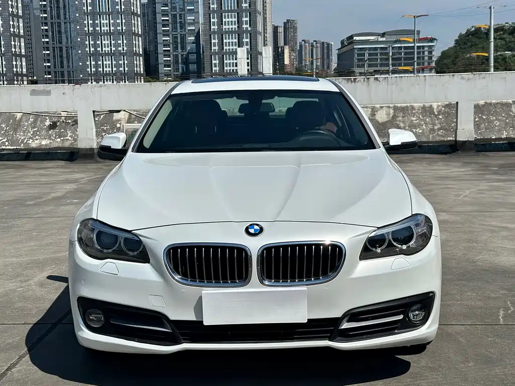 BMW 5 Series (Import) — миниатюра 2