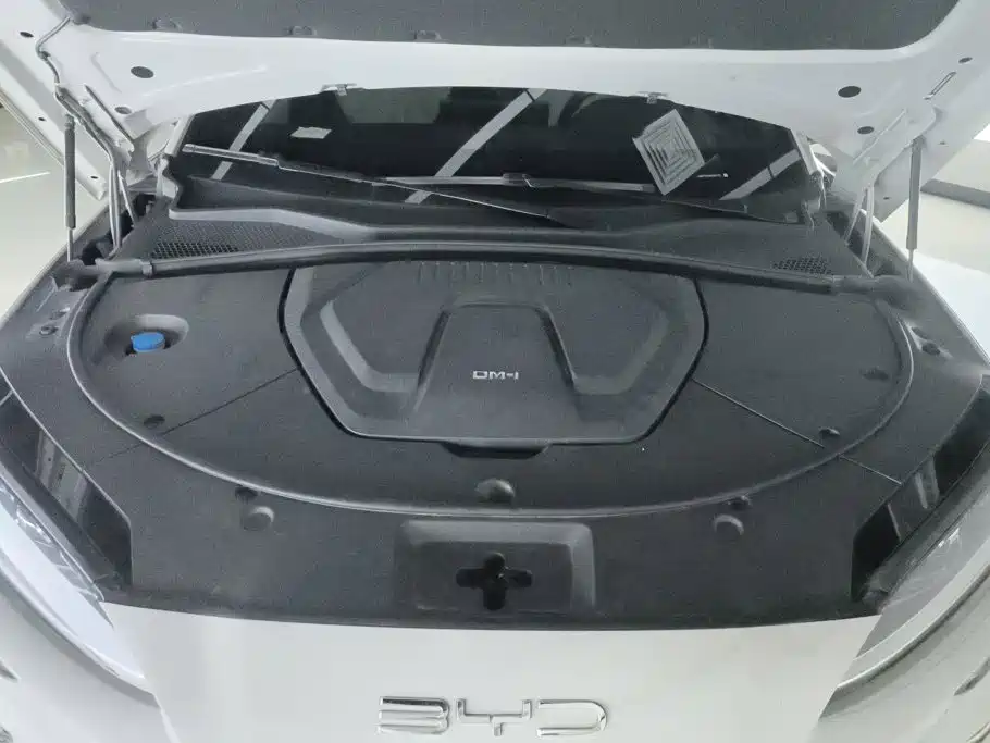 BYD Song Plus PLUS 2024 DM-i 150km Flagship PLUS