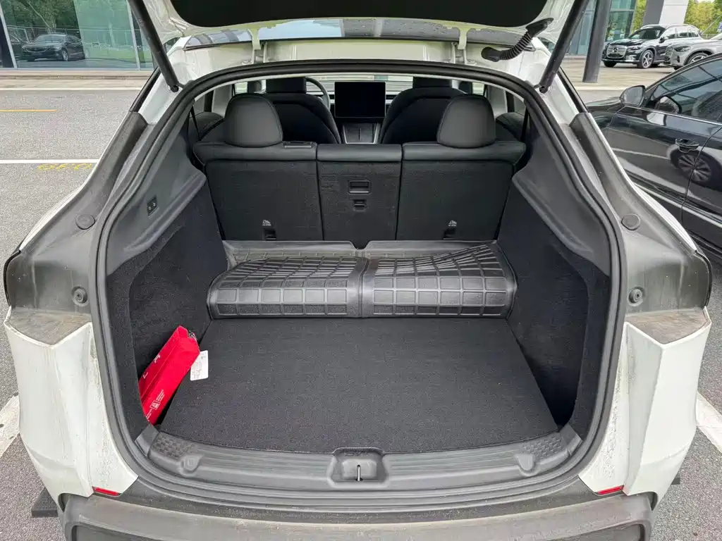 Tesla Model Y — миниатюра 14