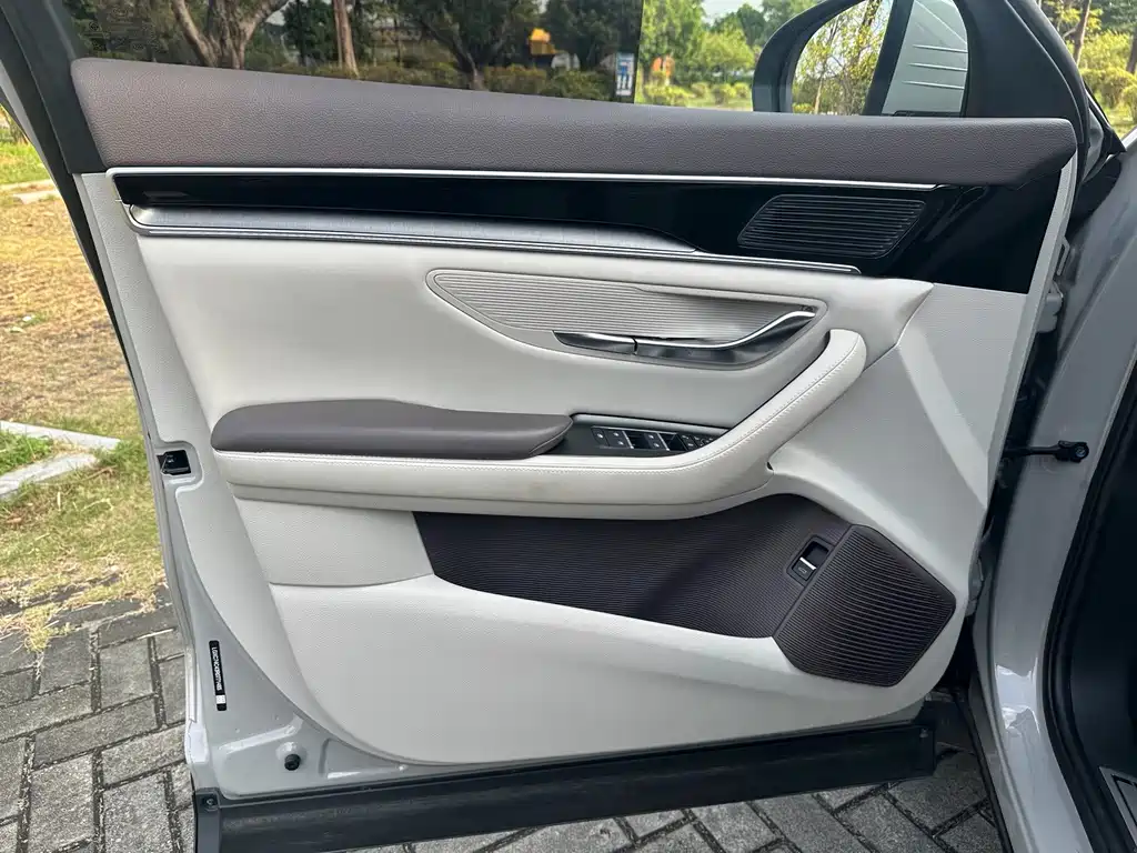 BYD PLUS New Energy — миниатюра 13