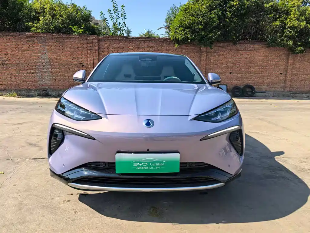 Denza Denza N7 — миниатюра 2