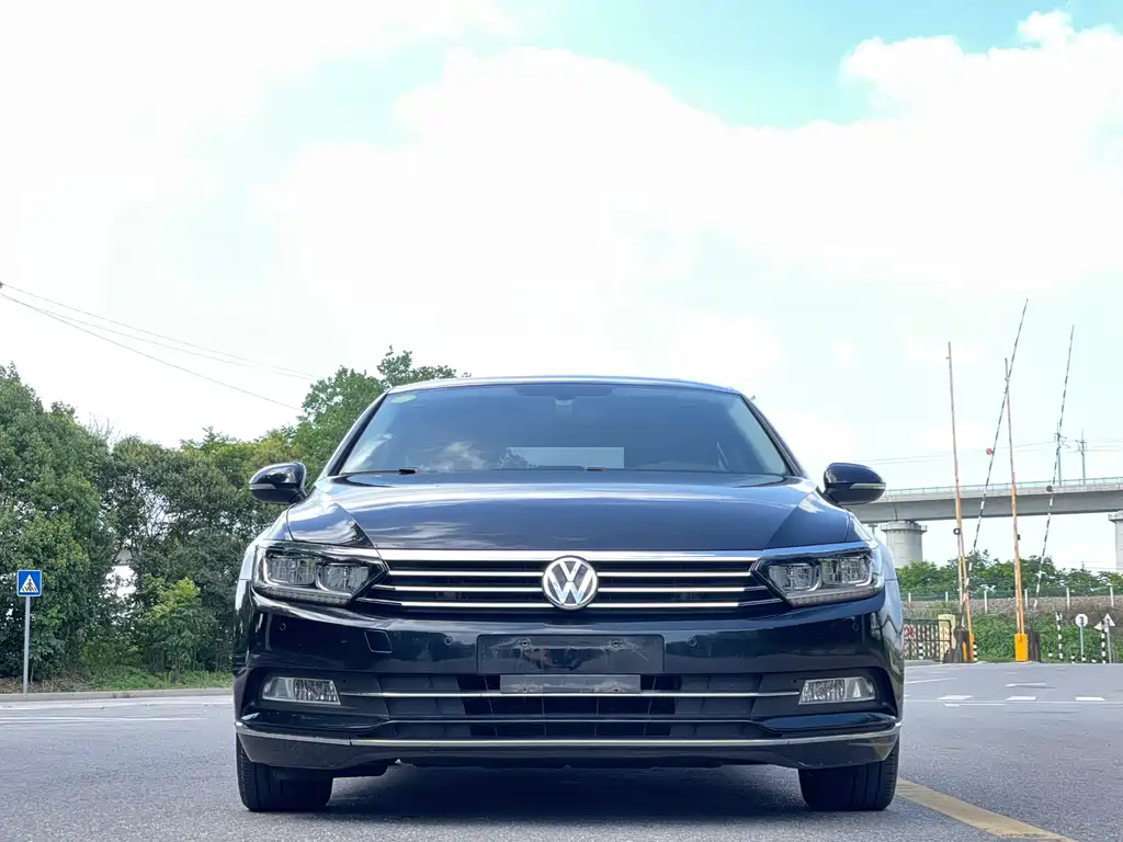 Volkswagen Magotan 2019 330TSI DSG Luxury VI