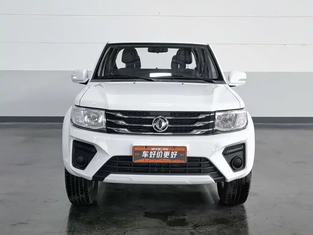Dongfeng Rich — миниатюра 3