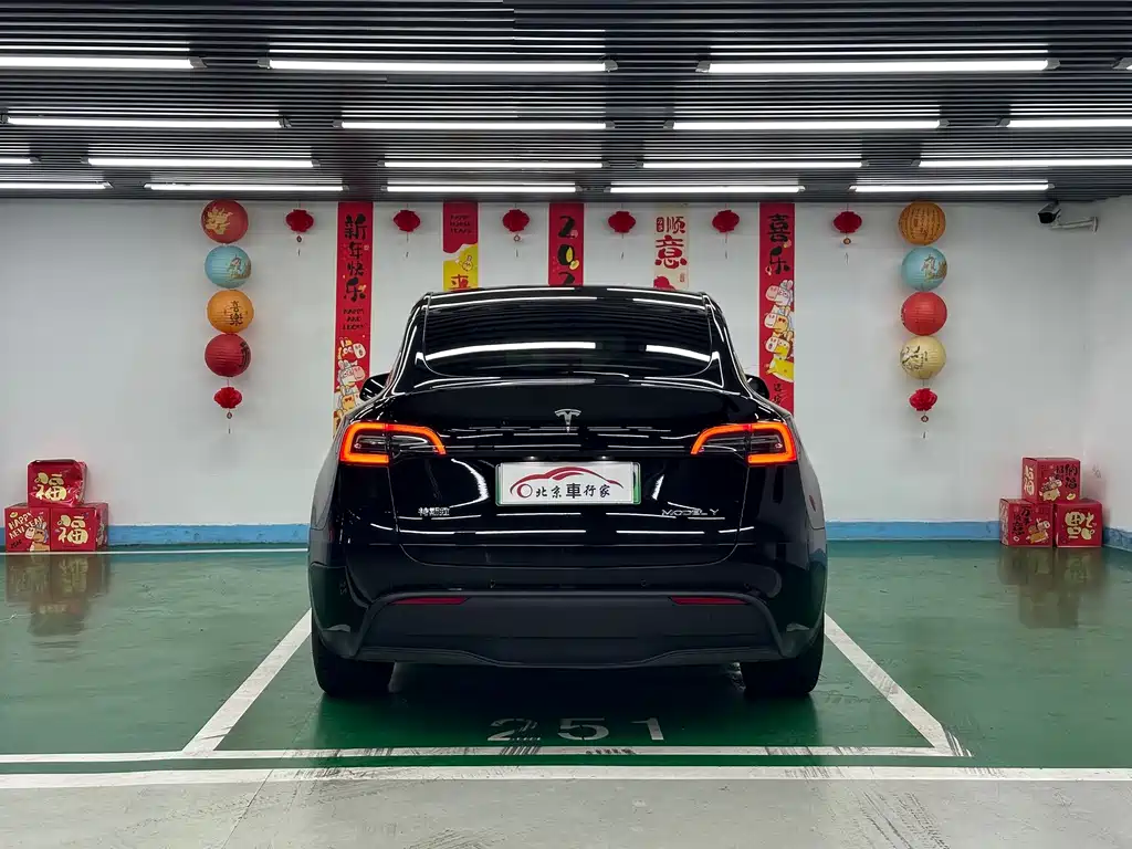 Tesla Model Y — миниатюра 6