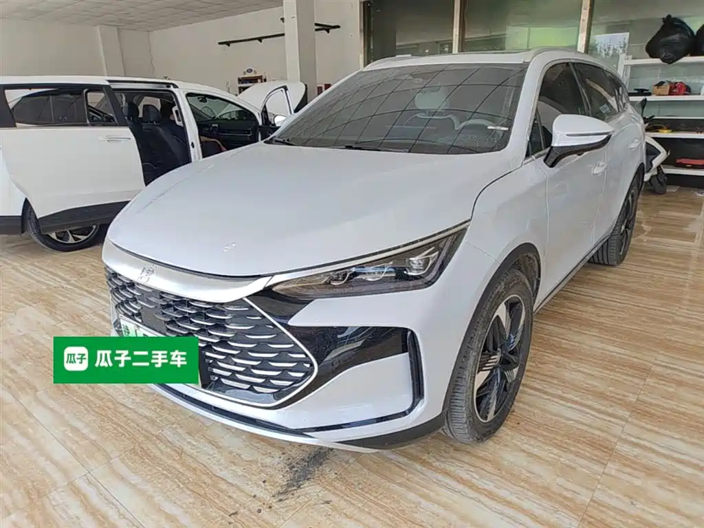 BYD Tang New Energy 2024 DM-i Glory Edition 112KM Honorable Type