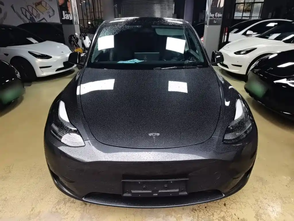 Tesla Model Y — миниатюра 3