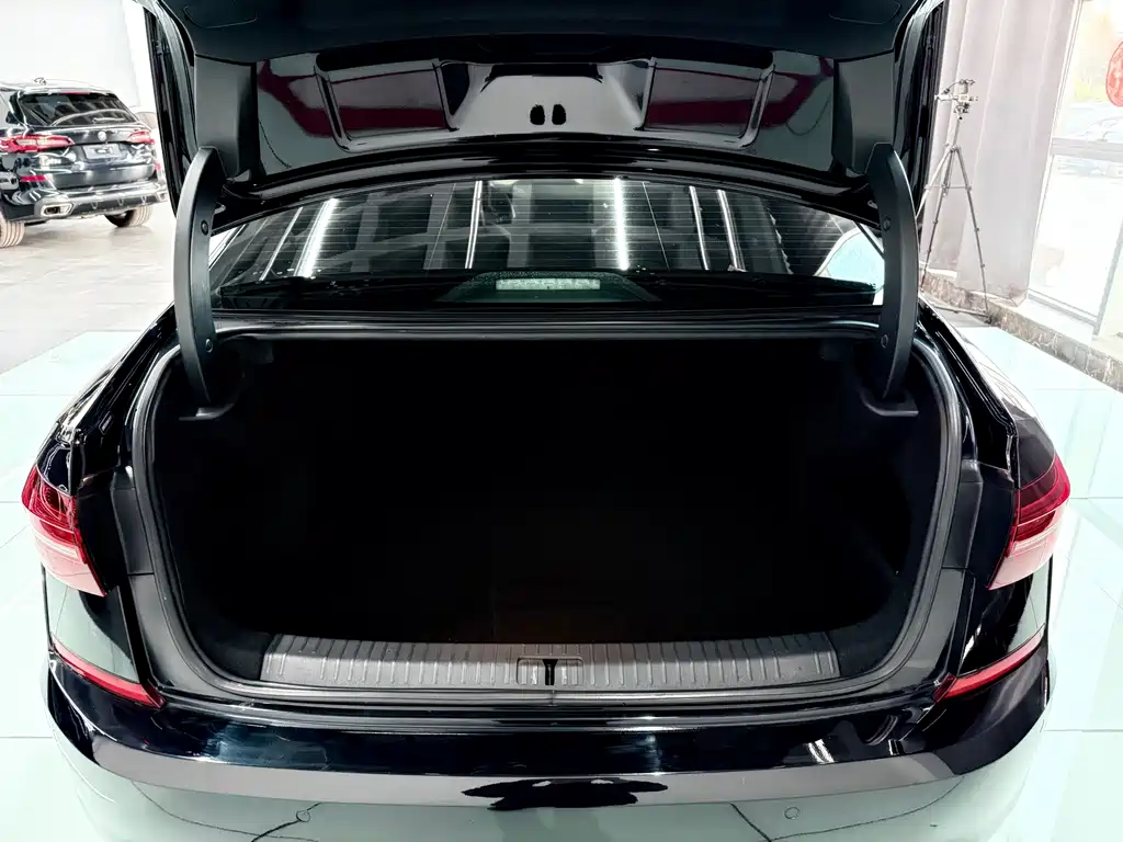Volkswagen Passat — миниатюра 25