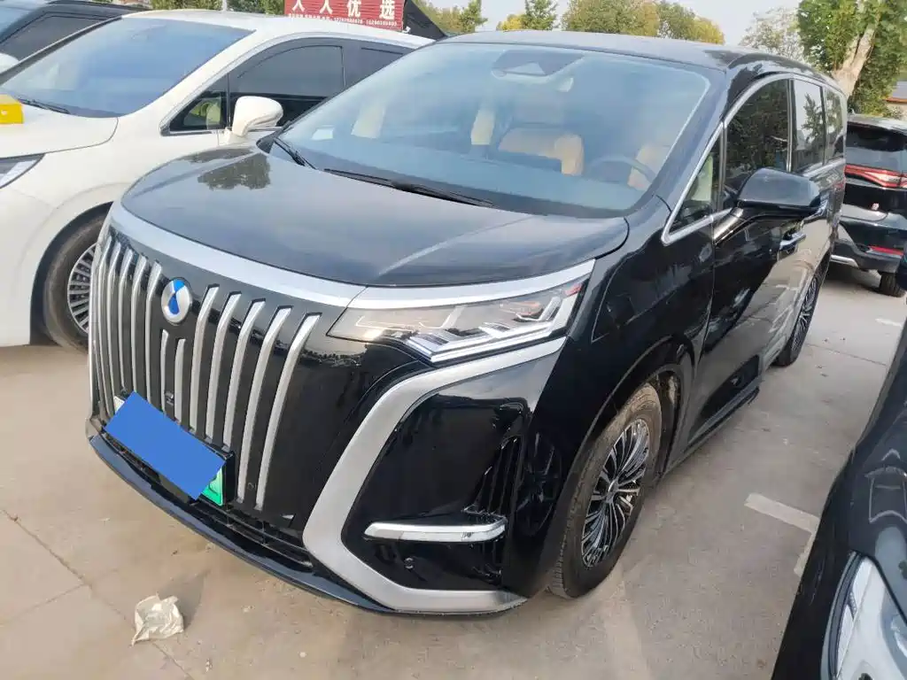 Denza Denza D9