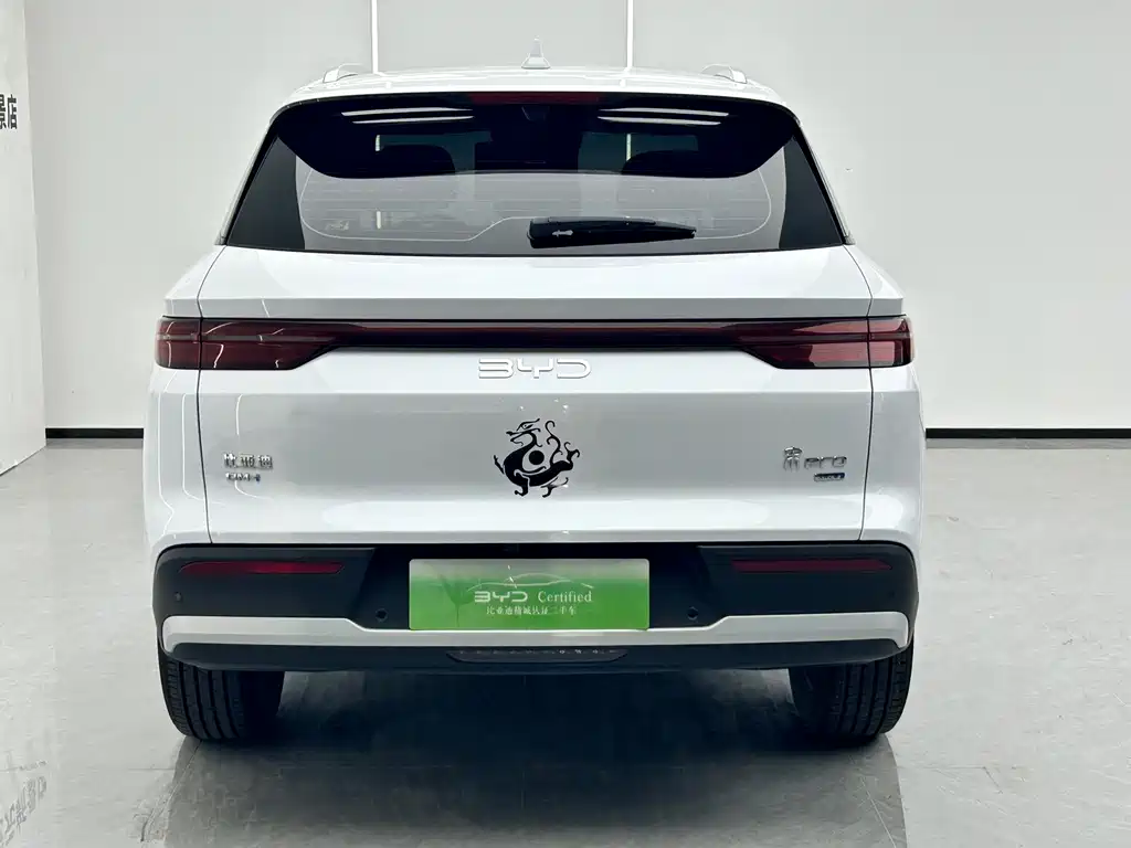 BYD Pro New Energy — миниатюра 4