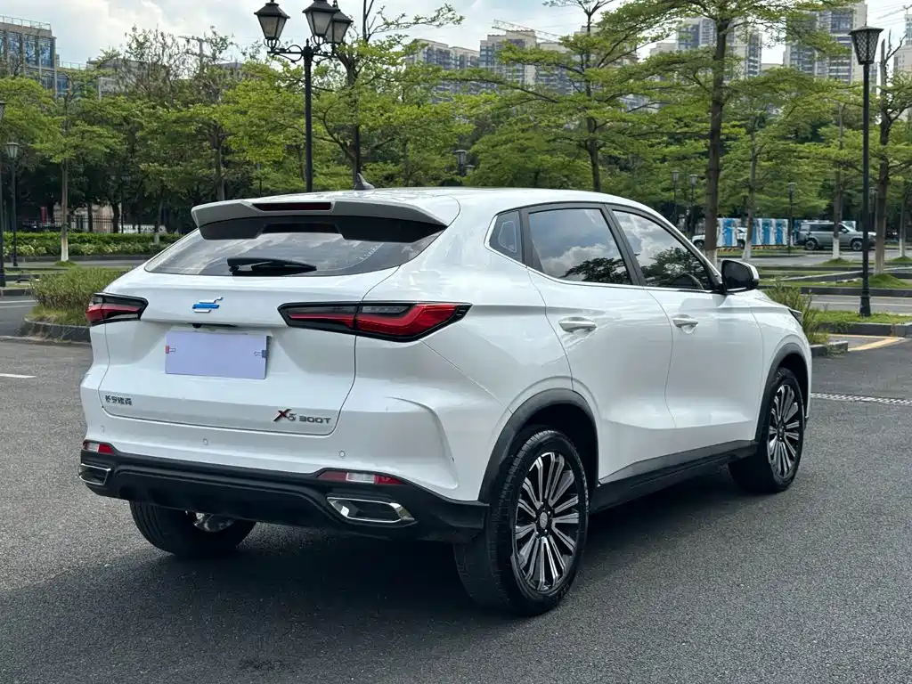 Oshan Oushang X5 — миниатюра 16
