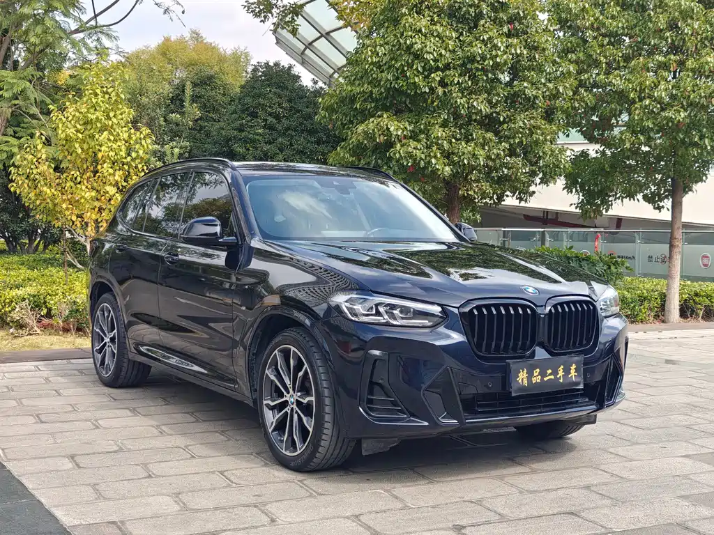 BMW X3 — миниатюра 3