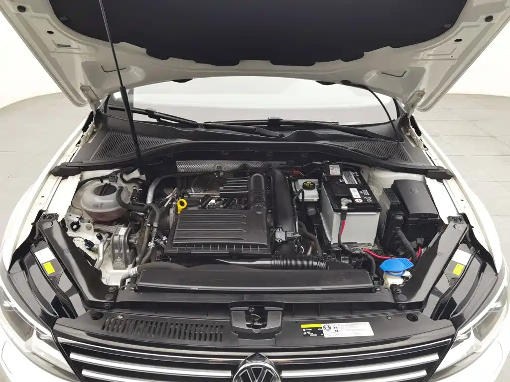 Volkswagen Lamando — миниатюра 6