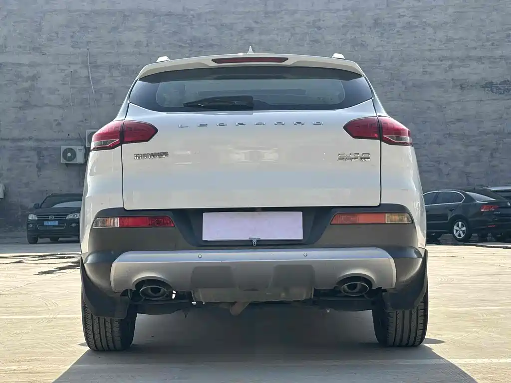 CHEETAH CARS CHEETAH CS10