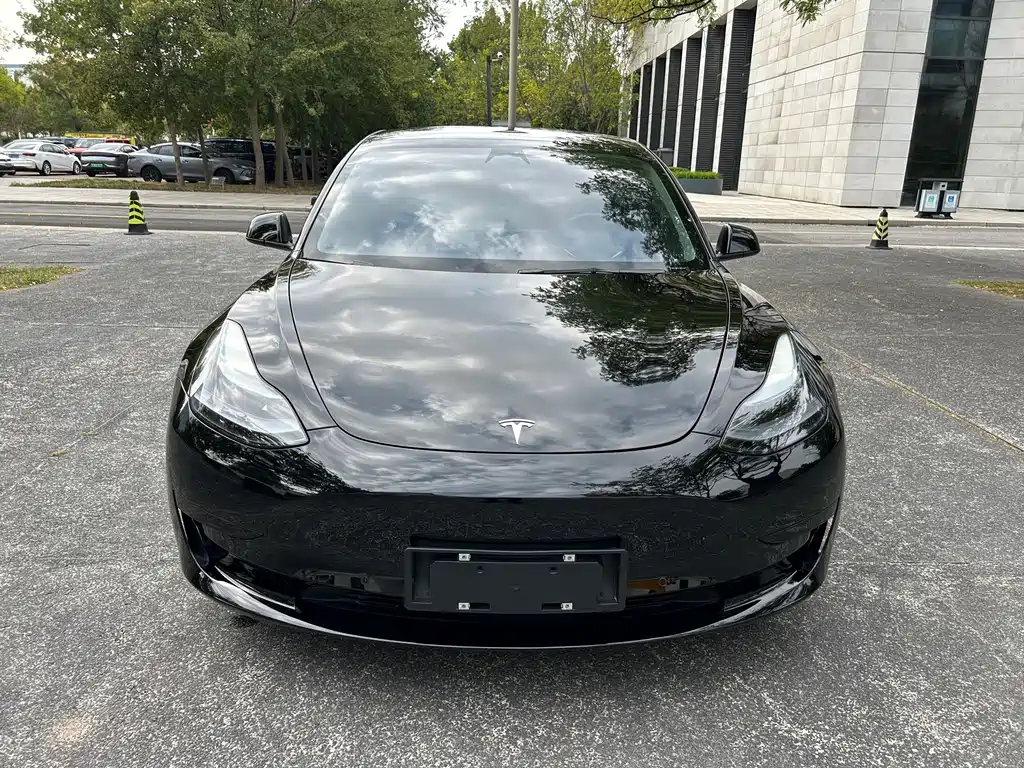 Tesla Model 3 — миниатюра 2