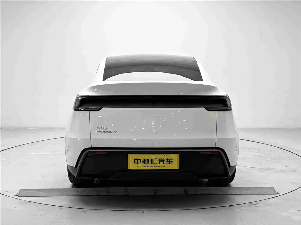 Tesla Model Y — миниатюра 19