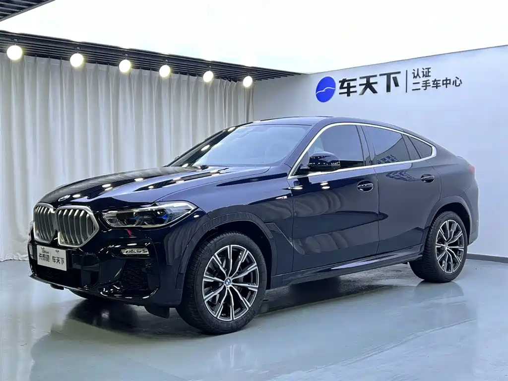 BMW X6 2022