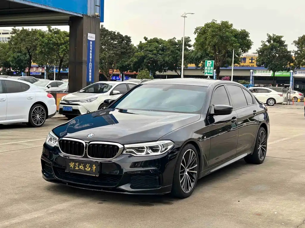 BMW 5 Series 2019