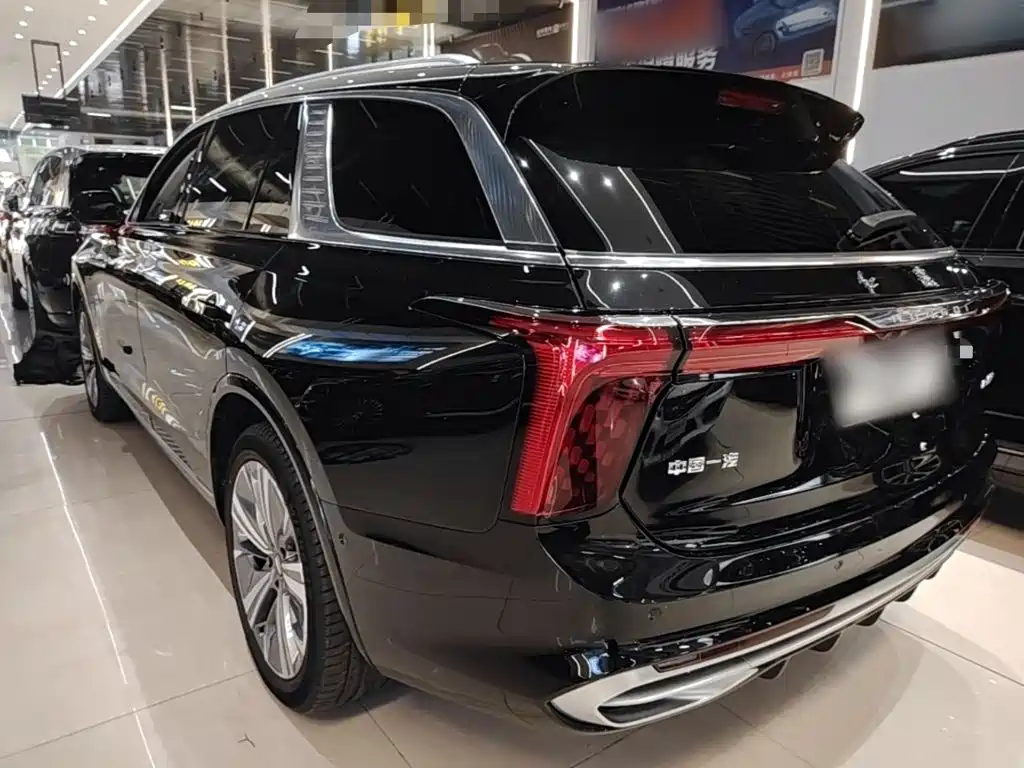 Hongqi Hongqi E-HS9 — миниатюра 5