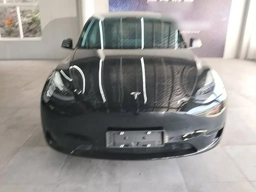 Tesla Model Y — миниатюра 3