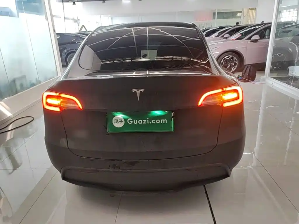 Tesla Model Y — миниатюра 6