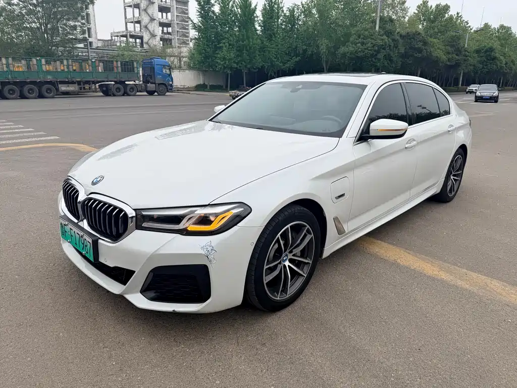 BMW 5 Series New Energy 2022