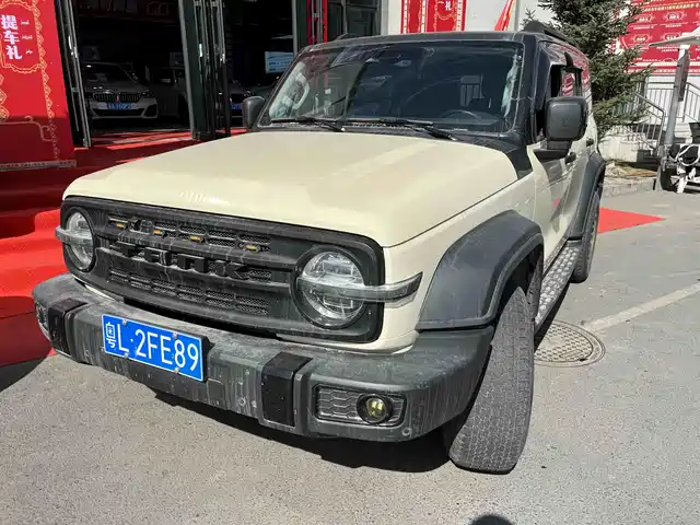 2021 TANK 300