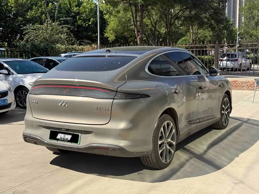 IM IM LS6 — миниатюра 2