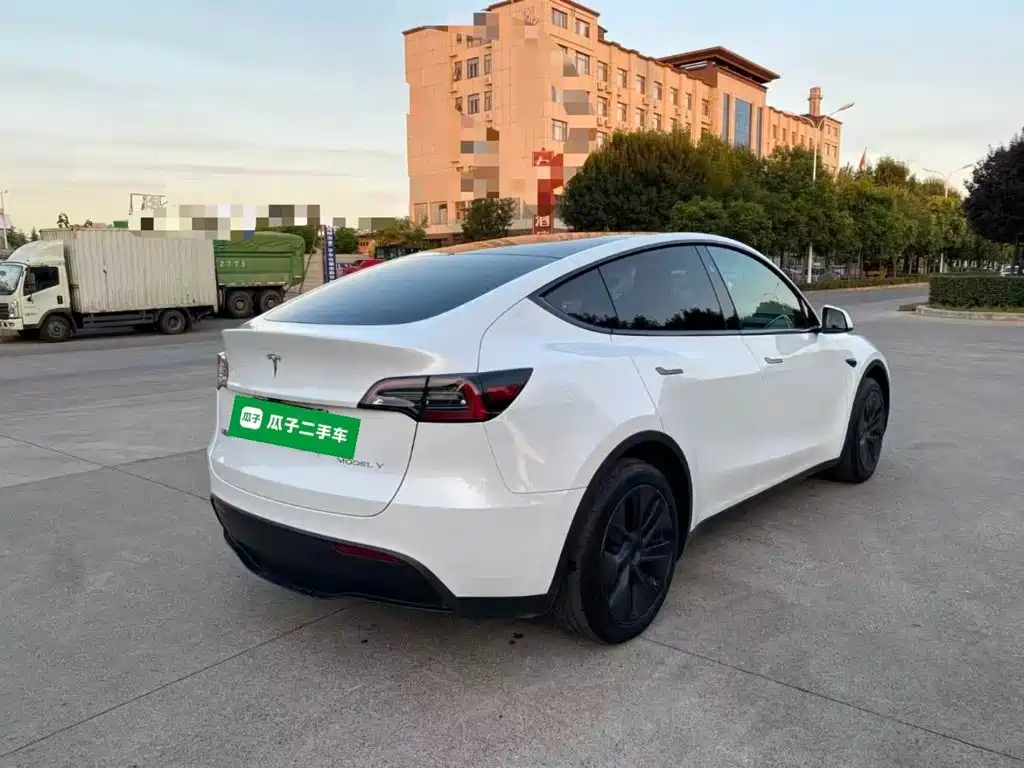Tesla Model Y — миниатюра 7