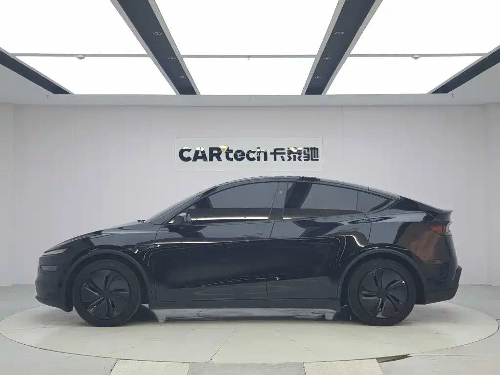 Tesla Model Y — миниатюра 2