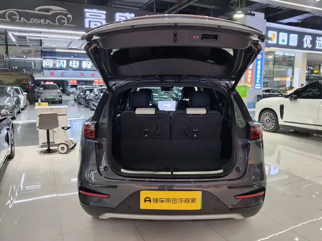 BYD Tang New Energy — миниатюра 19