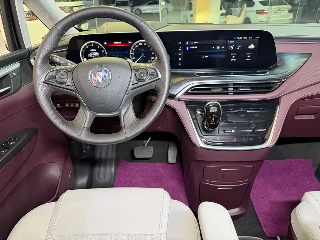 Buick GL8 — миниатюра 19