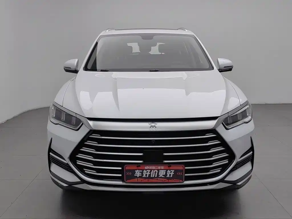 BYD Pro — миниатюра 3