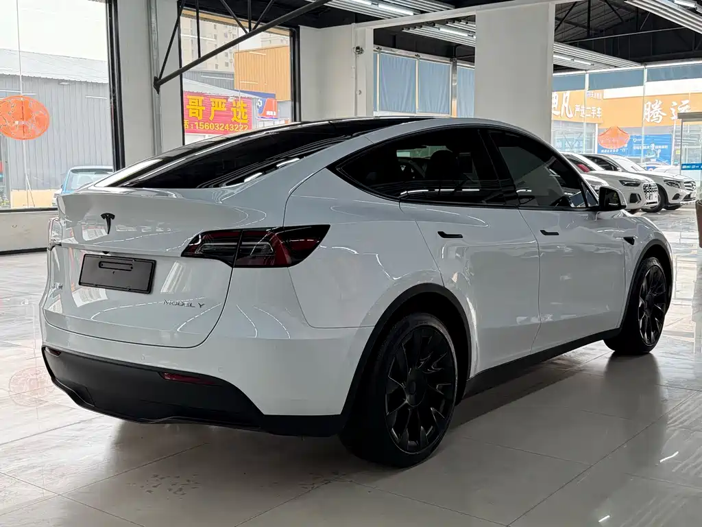 Tesla Model Y — миниатюра 4